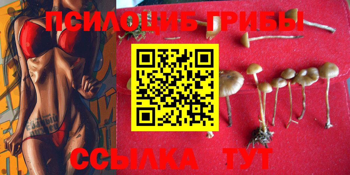 Галлюциногенные грибы мицелий  купить наркоту  Владикавказ  Вход с VPN 